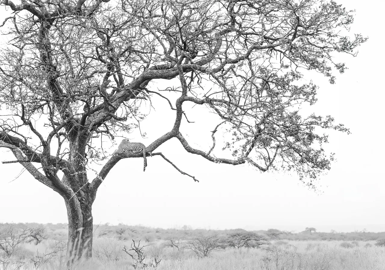The Southern Circuit Photography Expedition