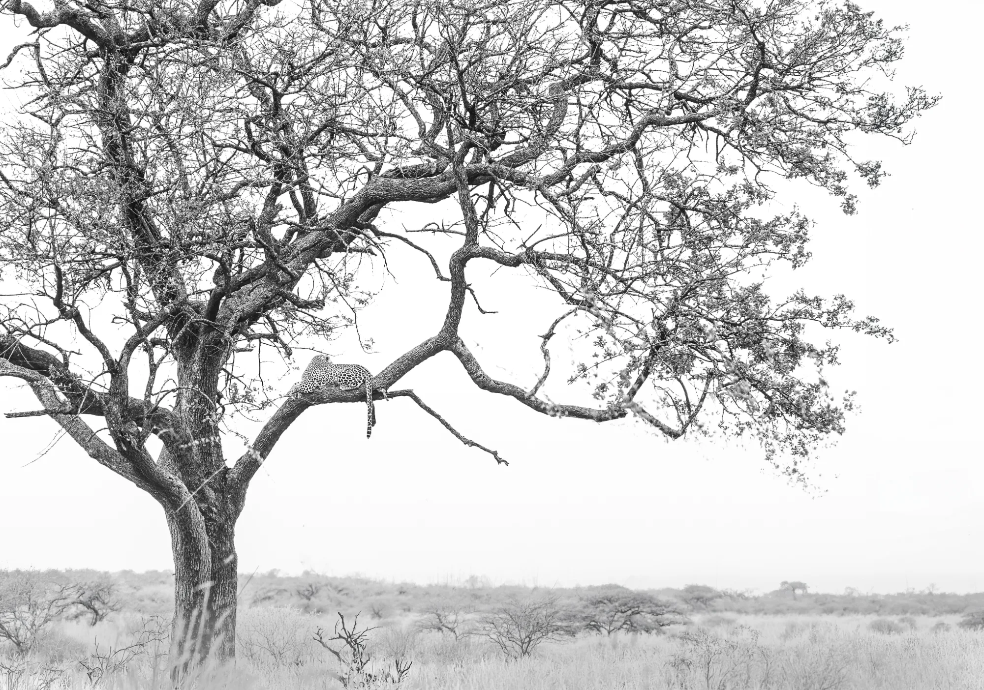 The Southern Circuit Photography Expedition