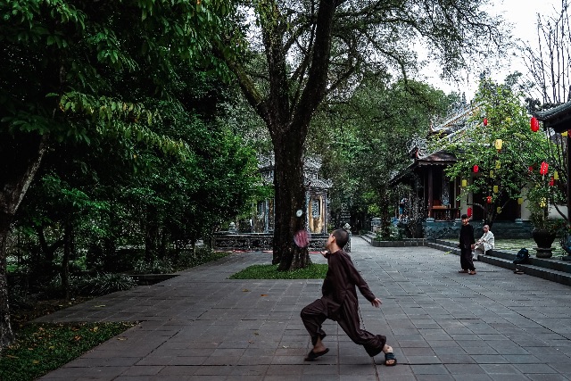 A martial artist dressed in dark traditional robes practicing dynamic stances in a lush courtyard.
