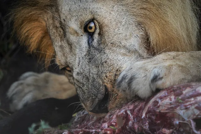 Experience Tanzania Beyond the Safari