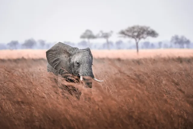 Photograph by Maria Mazzillo