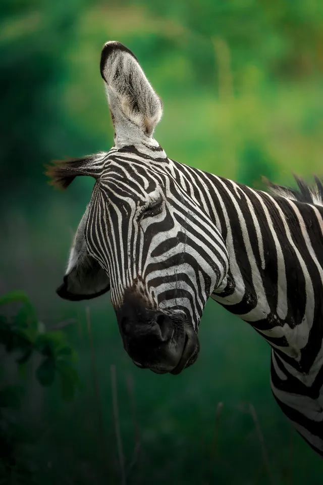 Deeper into Tanzania's Wild South
