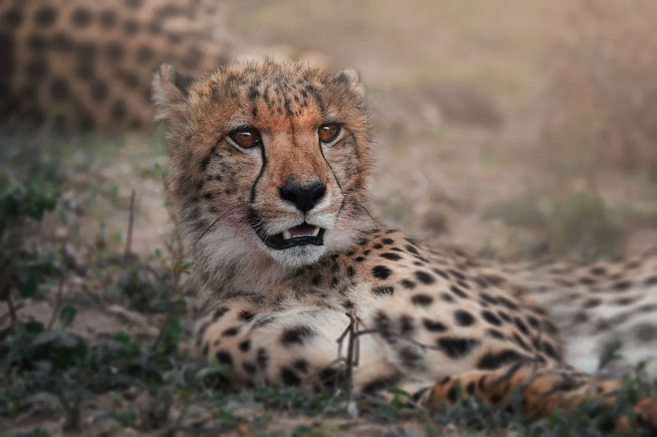 The Southern Circuit Photography Expedition