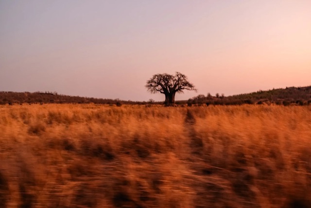 Photograph by Maria Mazzillo