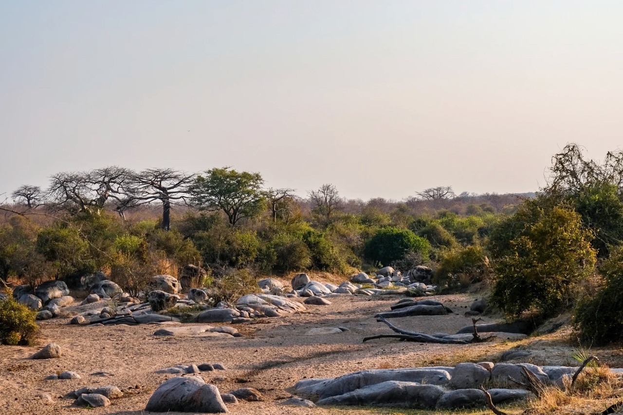 Wilder landscapes