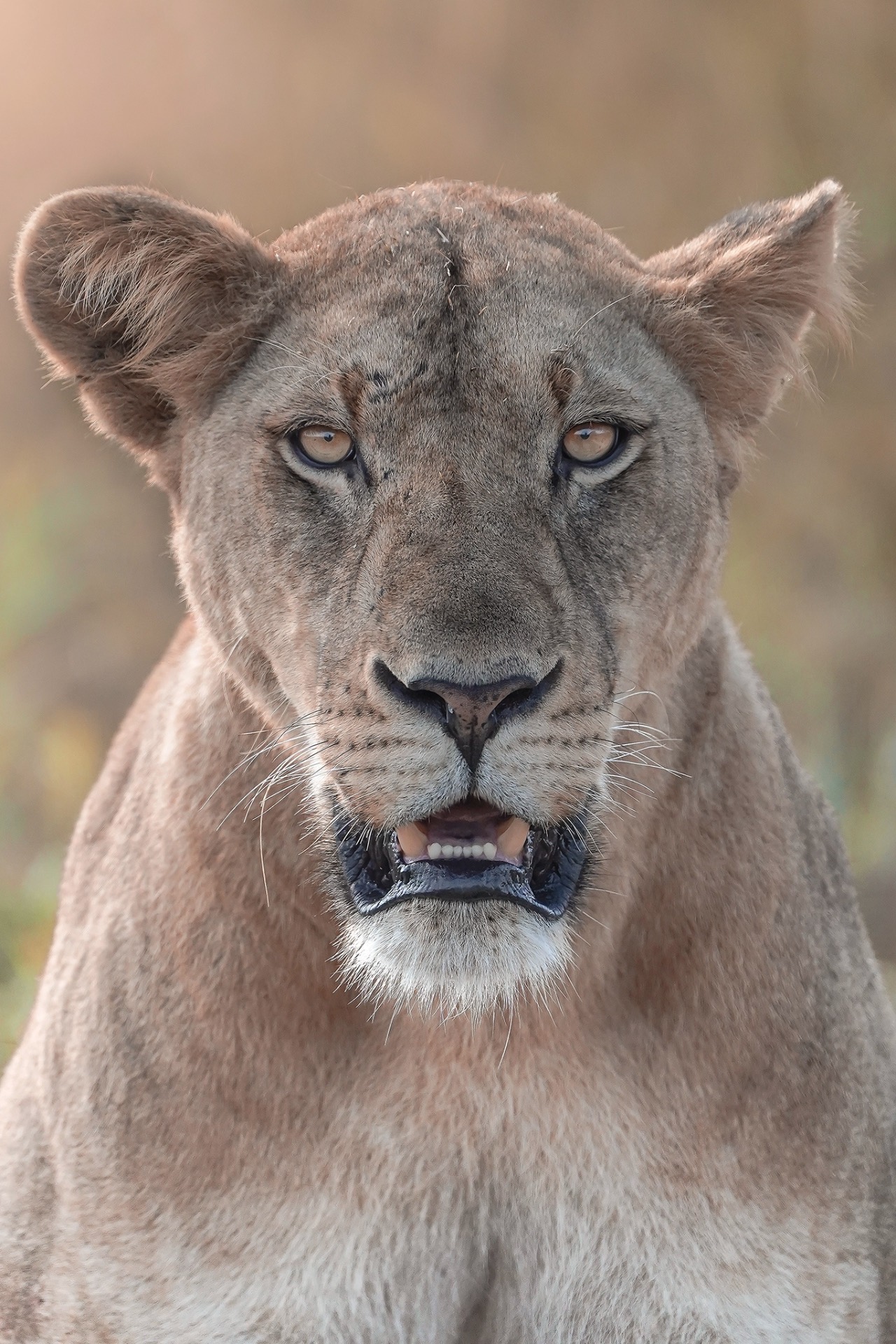 Deeper into Tanzania's Wild South