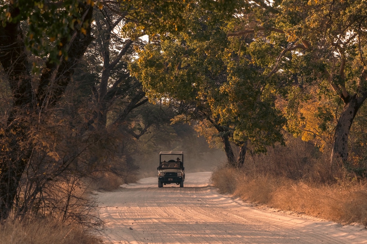 <p>Ready to explore Southern Tanzania?</p>