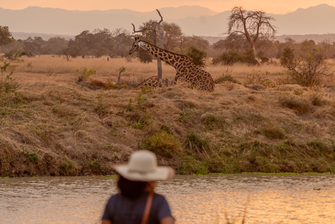 This expedition is for you if…